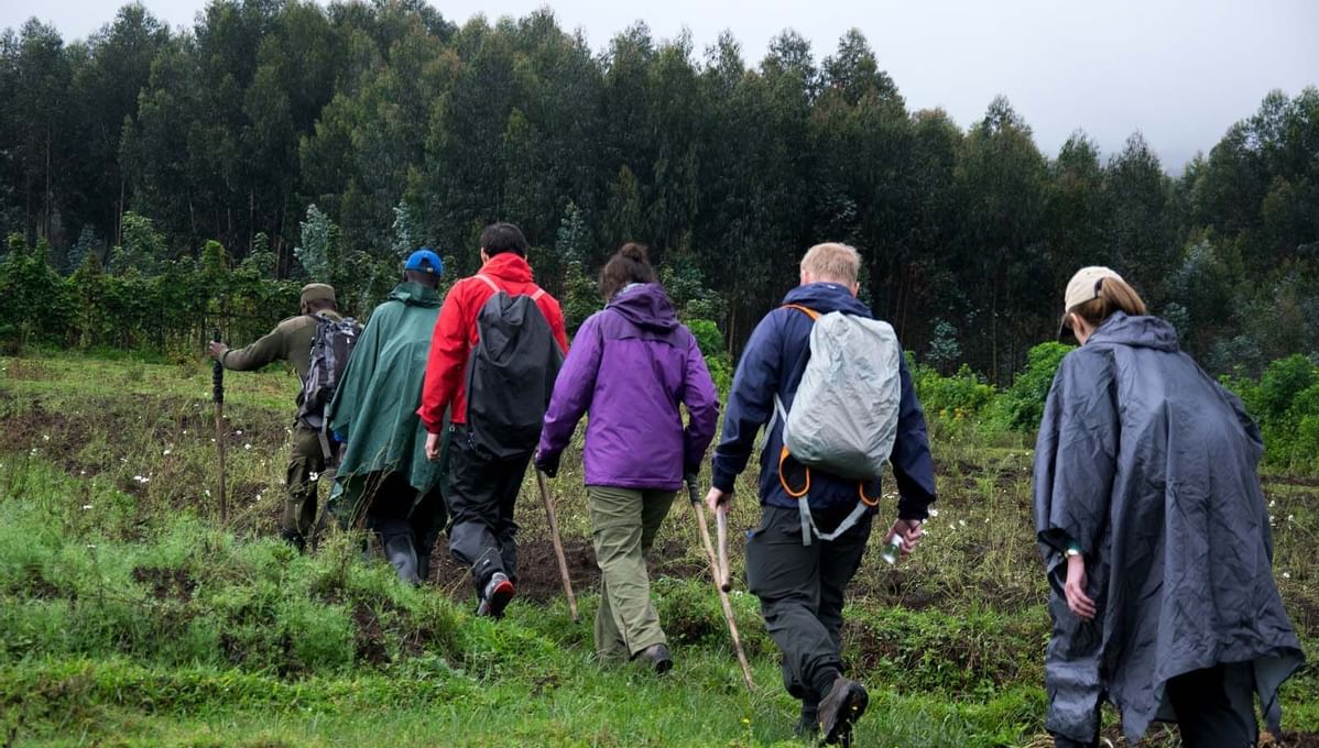 Hikers Climbing a mountain near Goma Serena Hotel