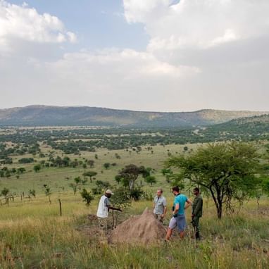 Tourists on a nature walk near Serengeti Serena Safari Lodge