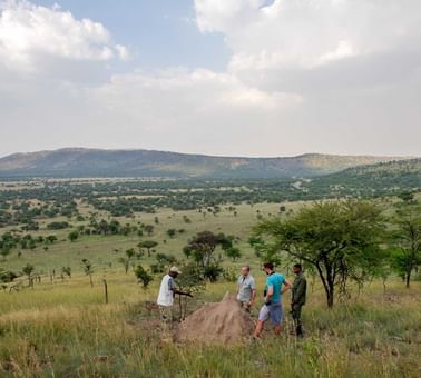 Tourists on a nature walk near Serengeti Serena Safari Lodge